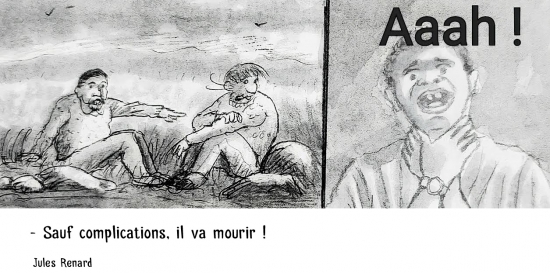 webzine,bd,zébra,gratuit,fanzine,bande-dessinée,citation,humour,marc schmitt,jules renard